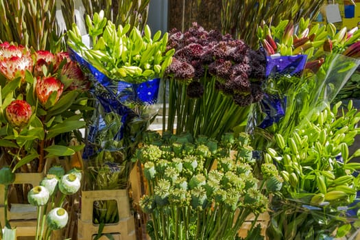 Flower market, poppy seed pods