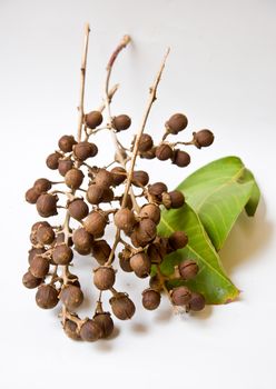 seed of Queen crape flower on white background