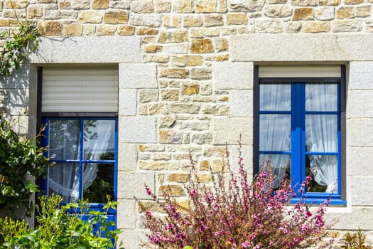 french style Window and Door with flower bush