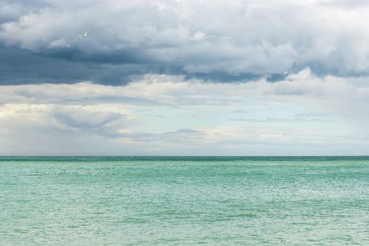 Soaring seagull in the thunderous sky over blue sea