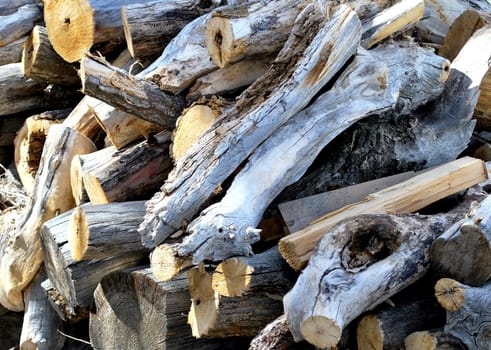 Firewood cut and stacked for the winter months.