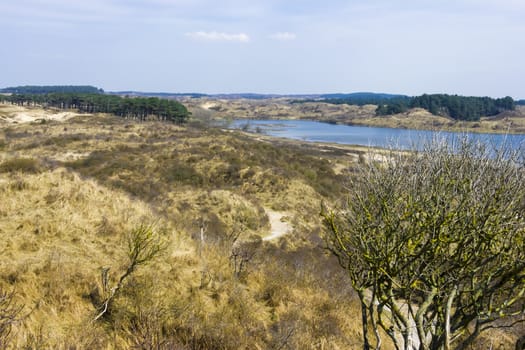 Lakes, National Park Zuid Kennemerland, The Netherlands