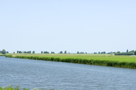 Rural dutch landscape with sheep and a small river