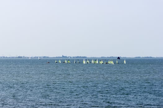 Many windsurfers on Zuiderzee bay, the Netherlands