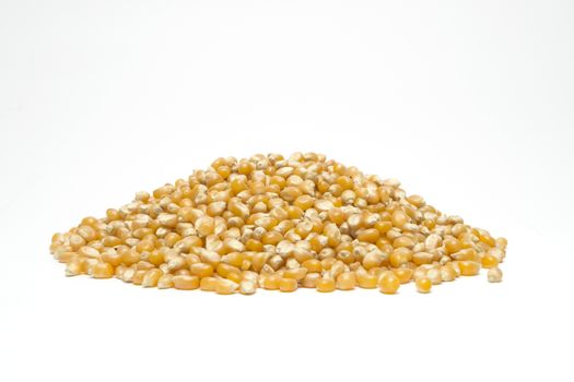 Popcorn seeds in a pile on white background