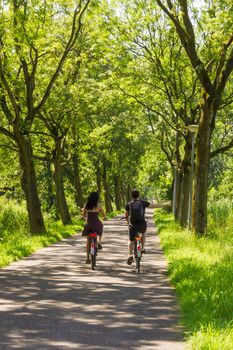 Couple riding bicycle along trees alley