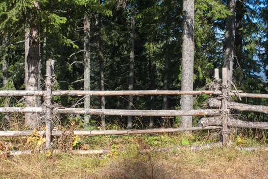 wooden farm fence in a forest