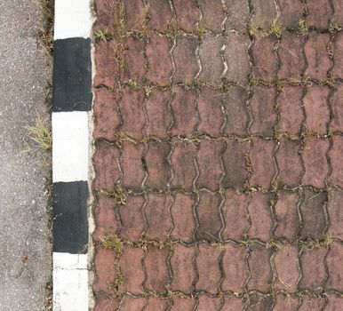 Brick pavement blocks with dry grass