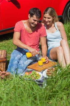 Happy couple sitting on the grass having picnic together on a sunny day