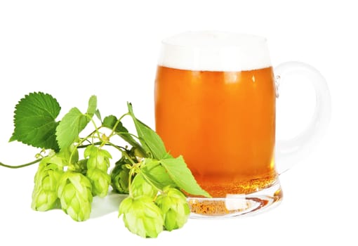 Glass of beer with foam and branch of green hop