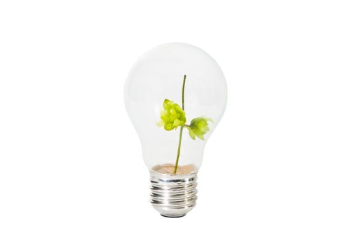 Light Bulb with green branch inside
