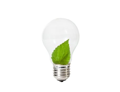 Light Bulb with green leaf inside 