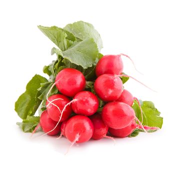 Bunch of red radish, vegetable isolated on white