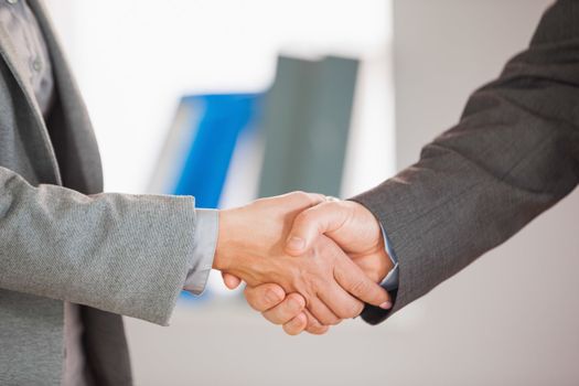 A businessman and a businesswoman having a handshake in an office