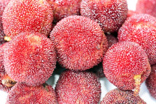 Closeup view of fresh red bayberry fruits