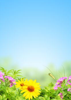 Summer frame with green leaves and flowers