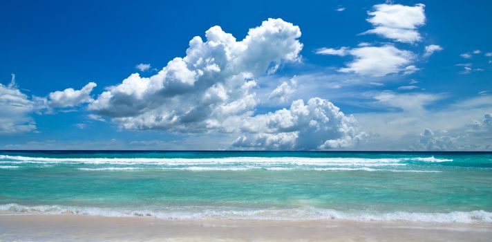 beautiful beach and tropical sea