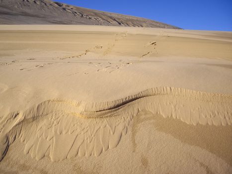 Sand dunes slip and slide in desert