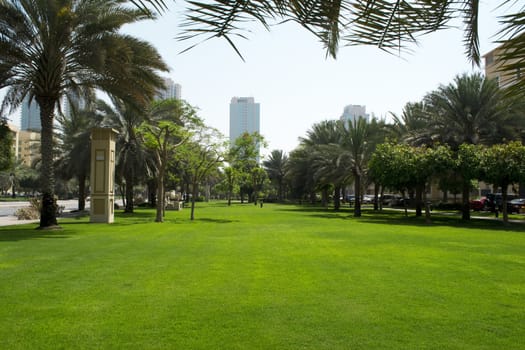 The Greens in Dubai green landscape