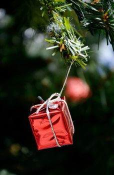 Red gift box hanging on christmas tree, Christmas concept