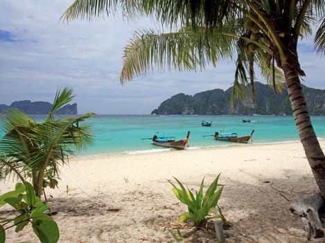 Koh Phi Phi Don Island Thailand Asia