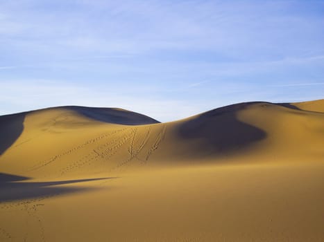 Fluid sand dunes of Death Valley USA