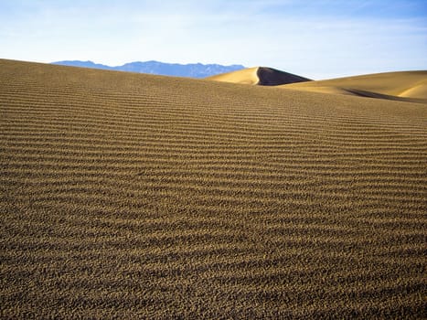 Light plays on sand dunes