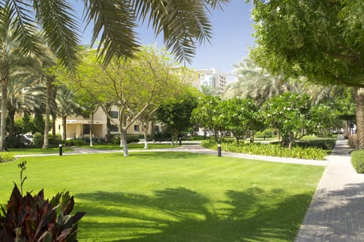 The Greens in Dubai green landscape