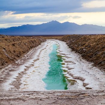 Amboy, Chloride area, USA. Example of chloride industrial treatment.