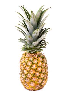 A fresh and ripe pineapple fruit isolated over a white background.