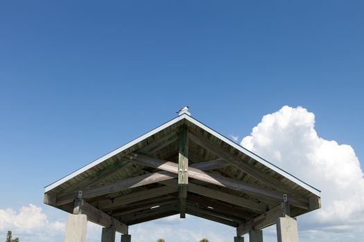 Pier 60 rooftop located in Clearwater Beach Florida USA.