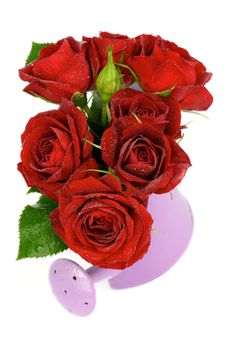 Beautiful Red Roses with Water Droplets in Purple Watering Can isolated on white background. Top View