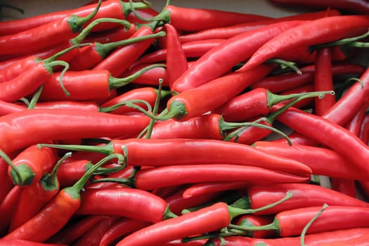 Image of background red hot chili peppers