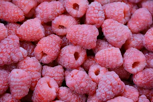 Image of the background fresh red raspberry