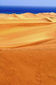 An Orange Sand Desert in Gran Canaria Island, Spain