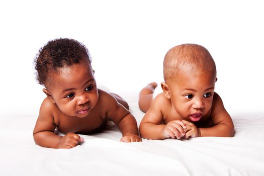 Two cute adorable family babies infants laying together on their bellies, on white.