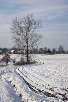 Beautiful winter landscape with snow covered meadows and trees