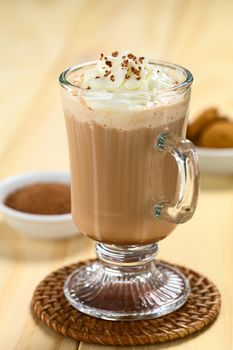 Hot chocolate with whipped cream and chocolate shavings on top, with cocoa powder and cookies in the back  (Selective Focus, Focus on the front of the whipped cream)