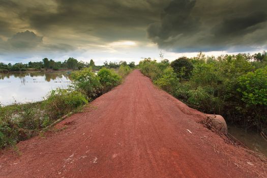 Dirt road in the countryside.