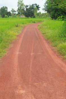 Dirt road in the countryside.