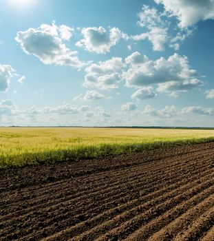 black and green agriculture field and cloudy sky