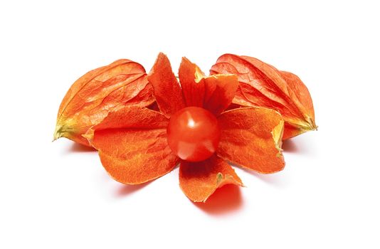 Red ripe physalis on white background.