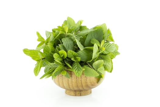 fresh green mints plant in pot on a white background (with clipping work path)