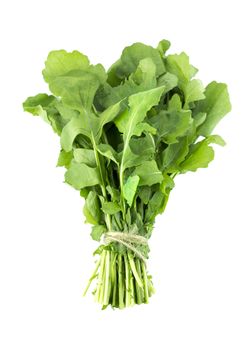 Green Rocket or Roquette leaves isolated on white background (with clipping work path)