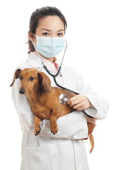 Asian female veterinarian