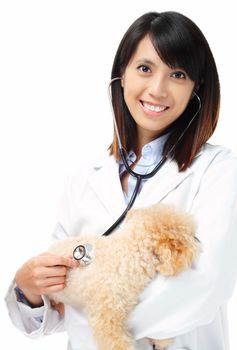 Asian veterinarian with poodle