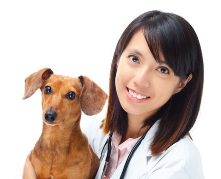 Veterinarian with dachshund dog