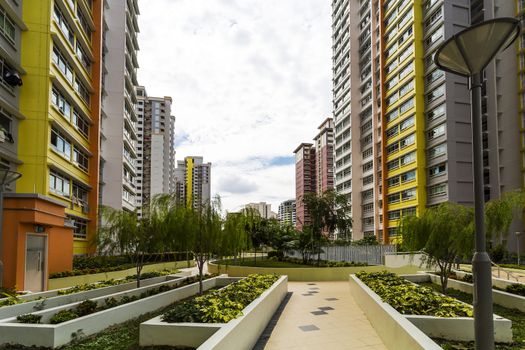 A path leading to a new colorful neighborhood estate from the garden.