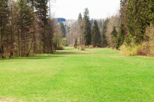 Romantic forest clearing Talham in water castle