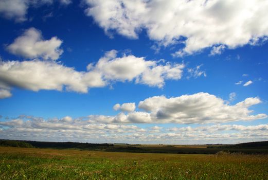 Summer field  and blue cloudy sky. Background